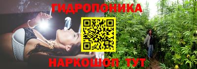 гидра Обь