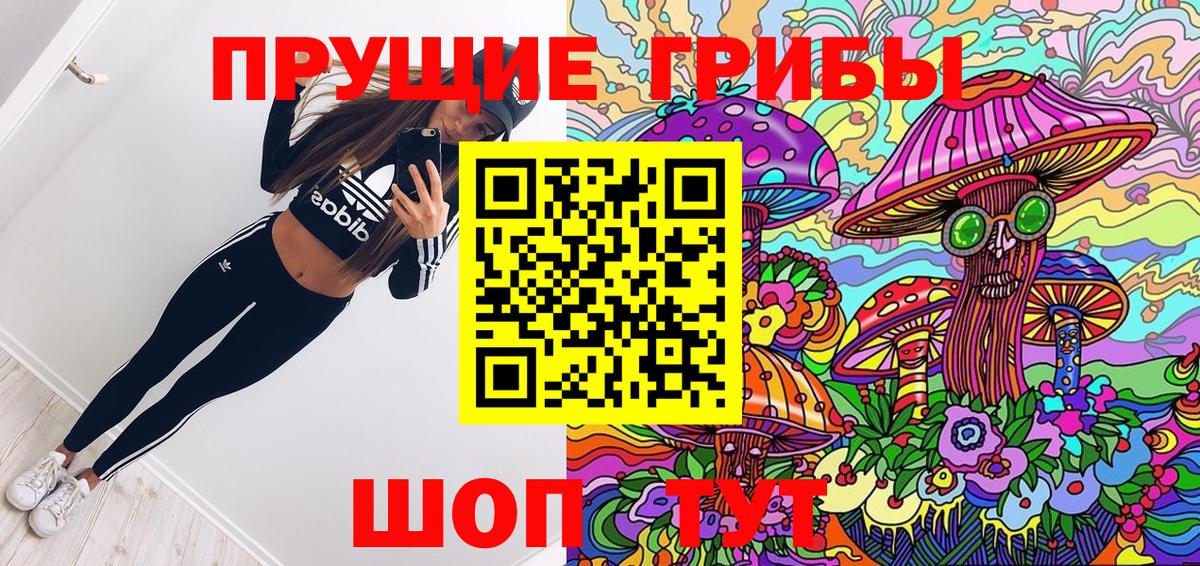 Галлюциногенные грибы прущие грибы  Вход с VPN  Сокол 